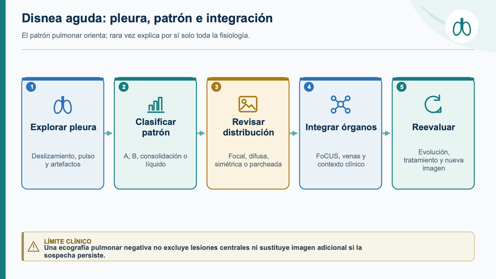 Esquema de integración clínica: Pulmón y pleura