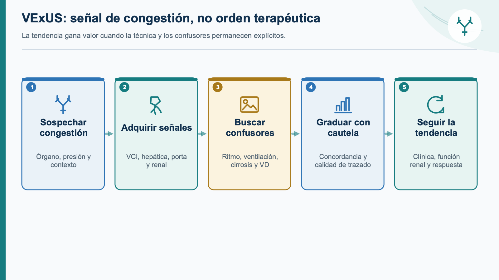 Esquema de integración clínica: Congestión venosa y VExUS