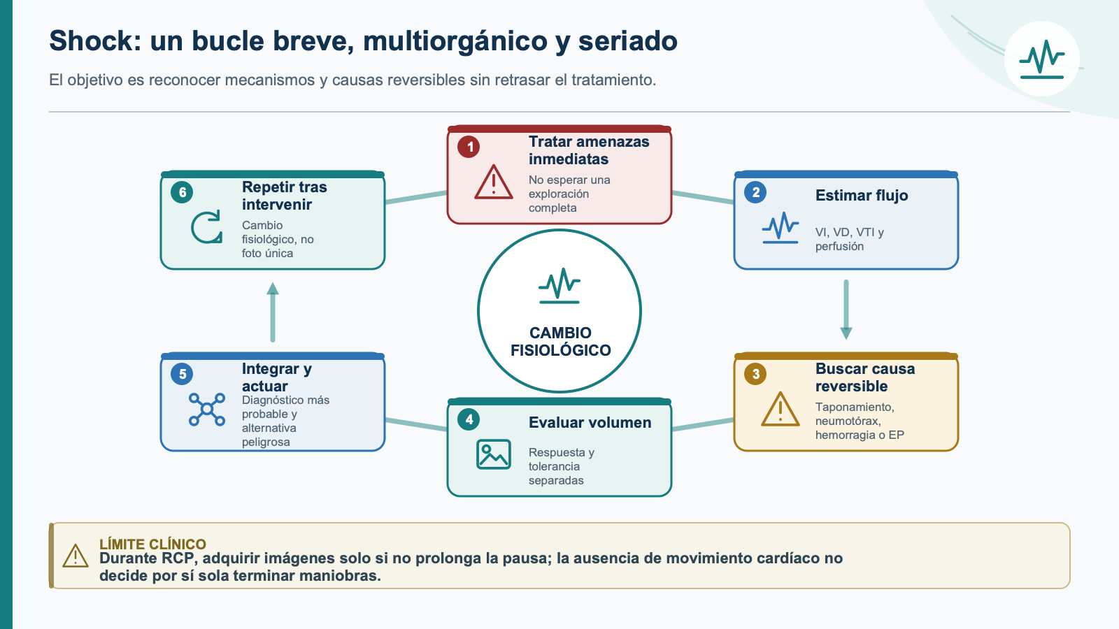 Esquema de integración clínica: Shock, peri-paro y paro