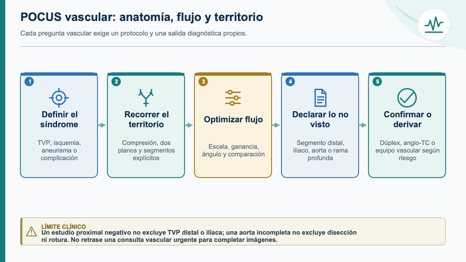 Esquema de integración clínica: POCUS vascular